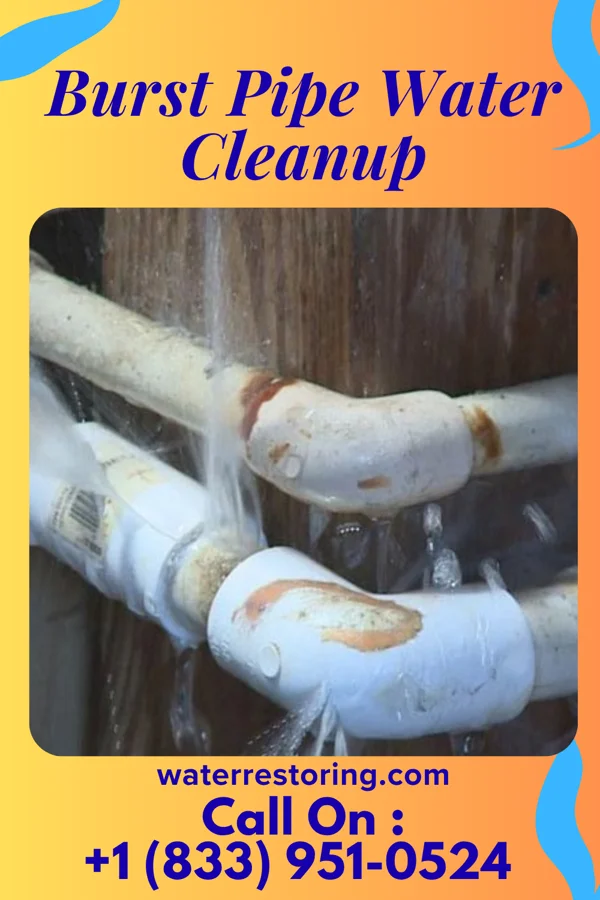 Burst Pipe Water Cleanup in Crofton, KY