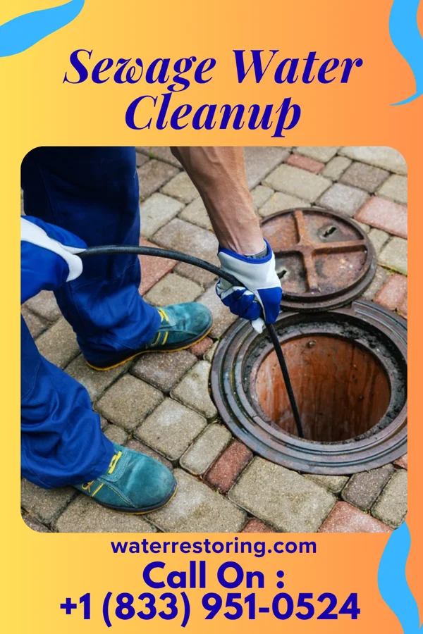 Sewage Water Cleanup in Crofton, KY