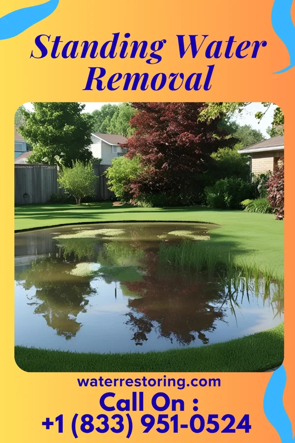 Standing Water Removal in Crofton, KY